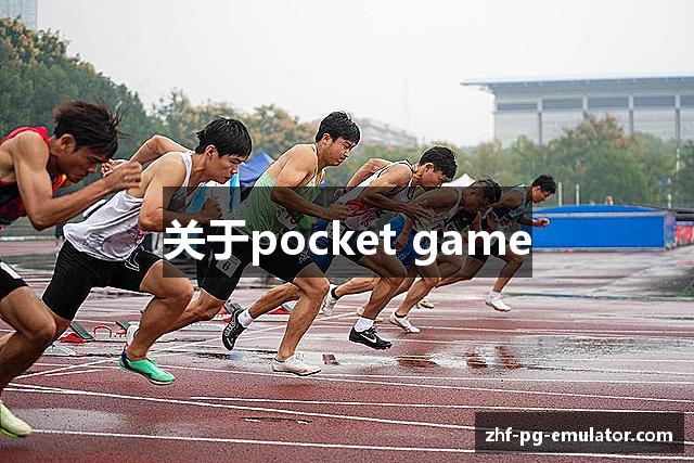 关于pocket game
